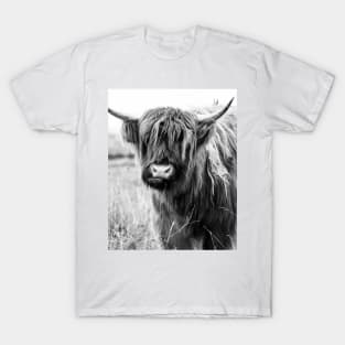 Highland Cow Portait, black and white T-Shirt